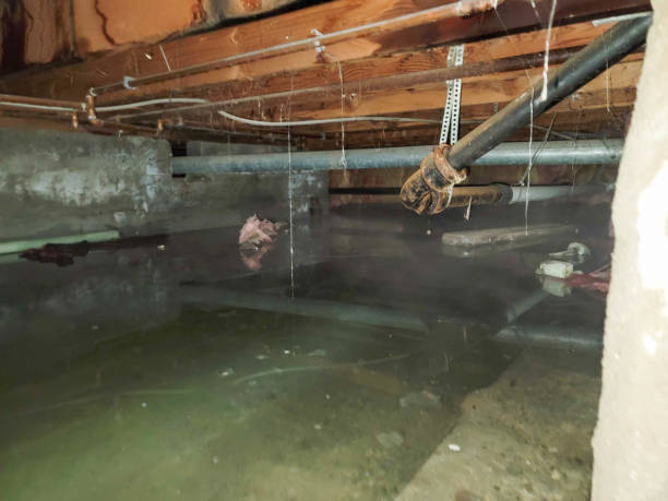 Best Water damage restoration process  in Tahoma, CA