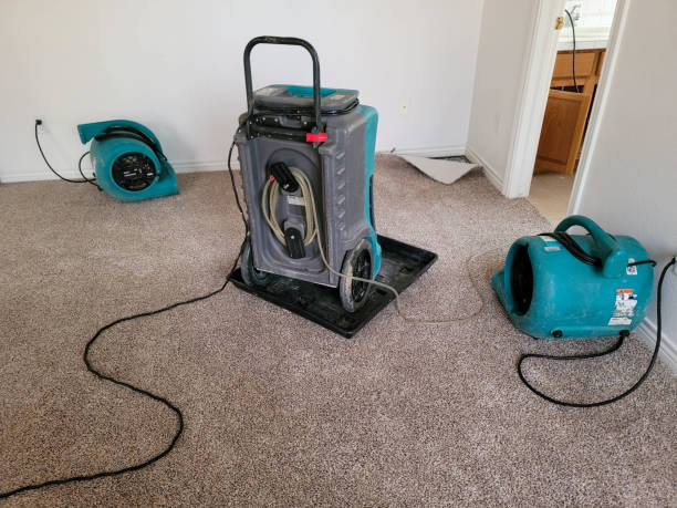 Best Professional water damage repair  in Tahoma, CA