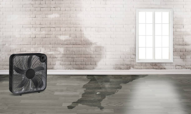 Best Flood restoration services  in Tahoma, CA