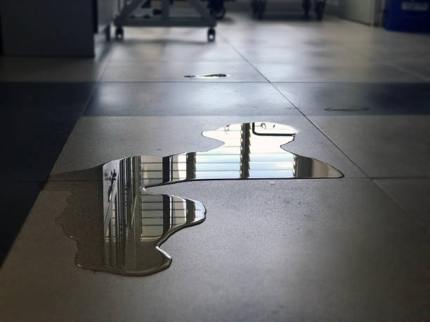 Best Water damage restoration company  in Tahoma, CA
