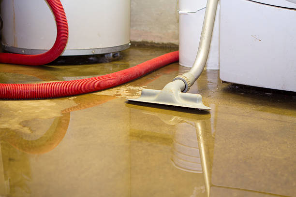  Tahoma, CA Water damage restoration Pros