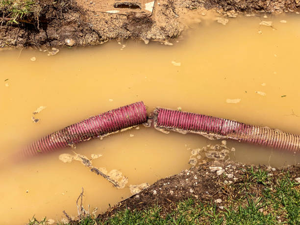 Best Professional water damage repair  in Tahoma, CA